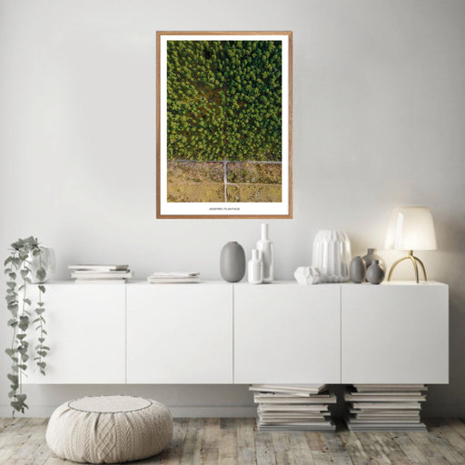 Asserbo Plantage Plakat - Plakatsnedkeren