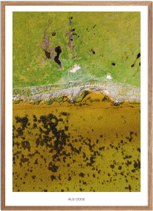 Als Odde Plakat