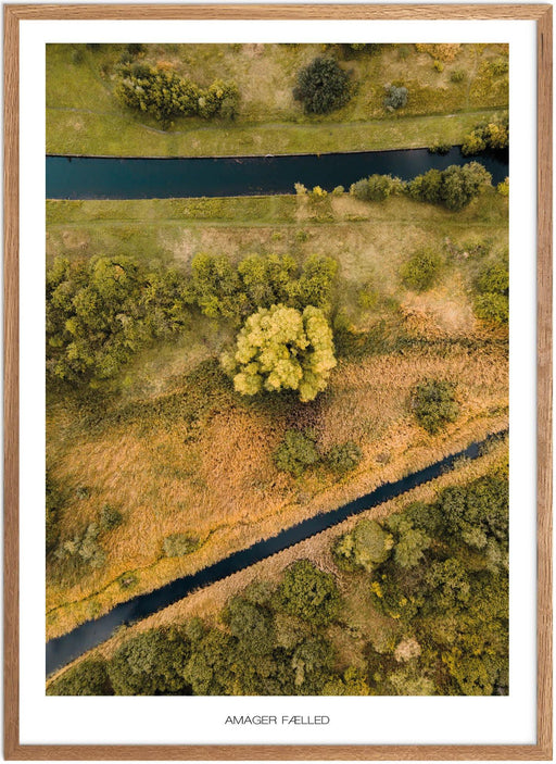 Amager Fælled No.1 Plakat - Plakatsnedkeren