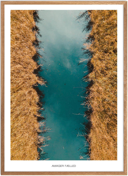 Amager Fælled No. 4 Plakat - Plakatsnedkeren