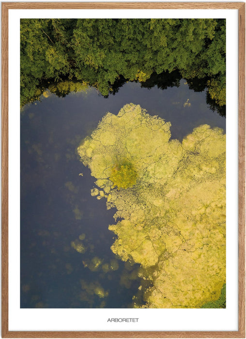 Arboretet No. 1 Plakat