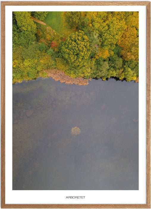 Arboretet No. 2 Plakat