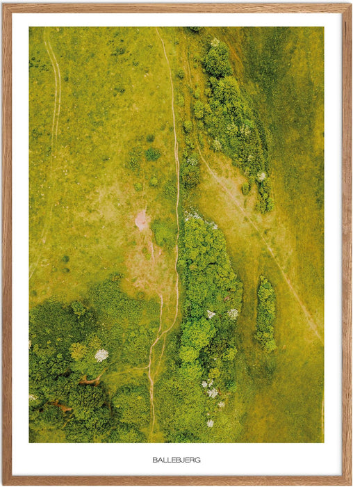 Ballebjerg Plakat