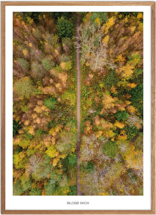 Bildsø Skov Plakat