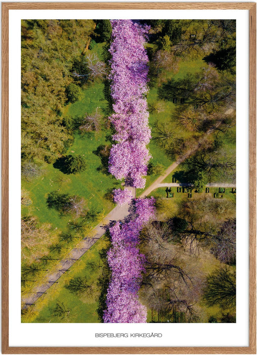 Bispebjerg Kirkegård Plakat