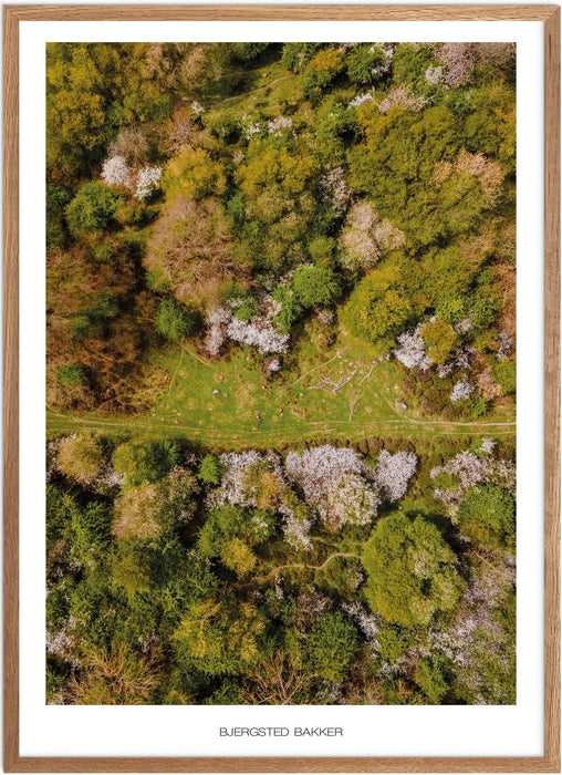 Bjergsted Bakker No. 1 Plakat