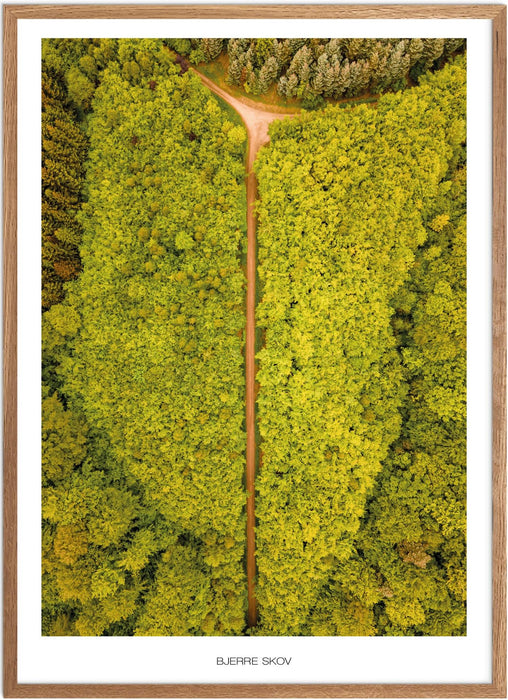 Bjerre Skov Plakat