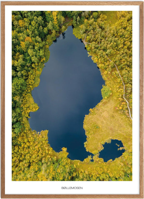 Bøllemosen Plakat