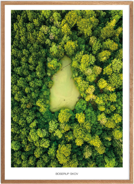 Naturplakat Danmark - På Plakatsnedkeren kan du finde smukke naturplakater fra: Plakater Danmark, Plakater Nordjylland, Plakater Østjylland, Plakater Vestjylland, Plakater Sønderjylland, Plakater Fyn, Plakater Nordsjælland, Plakater Vestsjælland, Plakater København