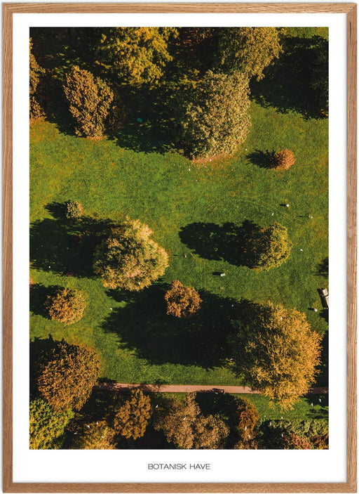 Botanisk Have No.1 Plakat - Plakatsnedkeren