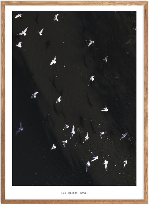 Botanisk Have No. 2 Plakat - Plakatsnedkeren