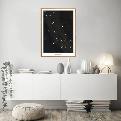 Botanisk Have No. 2 Plakat - Plakatsnedkeren