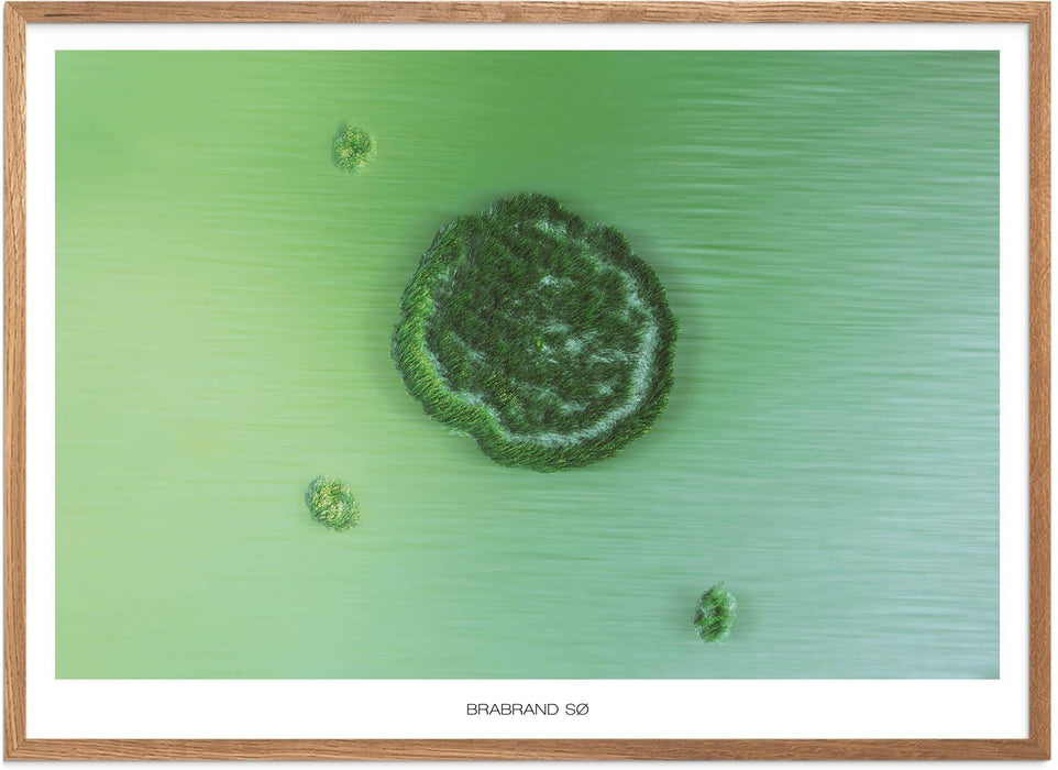 Naturplakat Danmark - På Plakatsnedkeren kan du finde smukke naturplakater fra: Plakater Danmark, Plakater Nordjylland, Plakater Østjylland, Plakater Vestjylland, Plakater Sønderjylland, Plakater Fyn, Plakater Nordsjælland, Plakater Vestsjælland, Plakater København