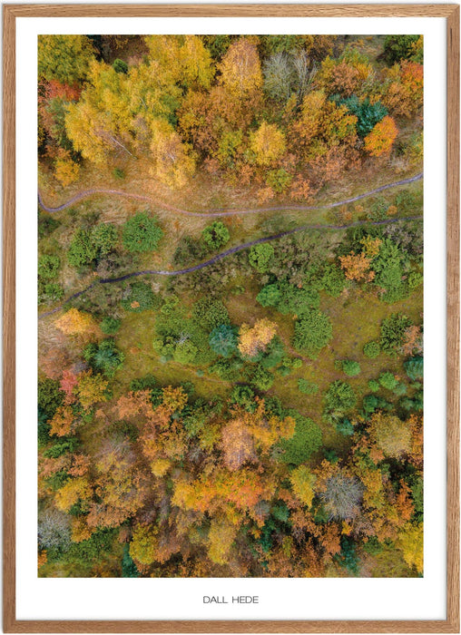 Dall Hede No. 1 Plakat