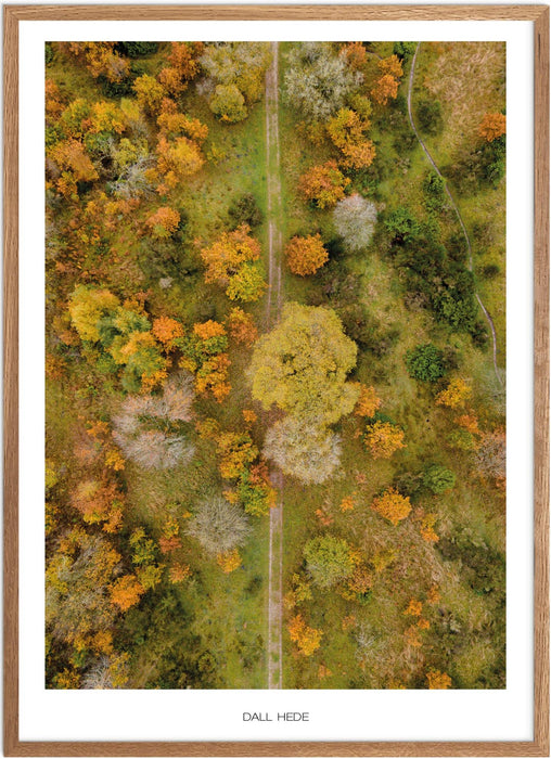 Dall Hede No. 2 Plakat