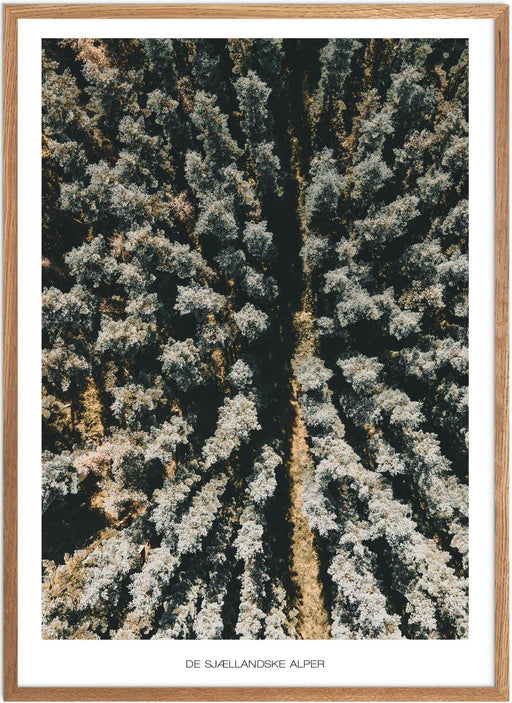 Naturplakat Danmark - På Plakatsnedkeren kan du finde smukke naturplakater fra: Plakater Danmark, Plakater Nordjylland, Plakater Østjylland, Plakater Vestjylland, Plakater Sønderjylland, Plakater Fyn, Plakater Nordsjælland, Plakater Vestsjælland, Plakater København