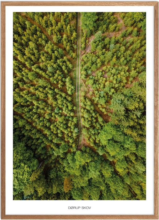 Dørup Skov Plakat