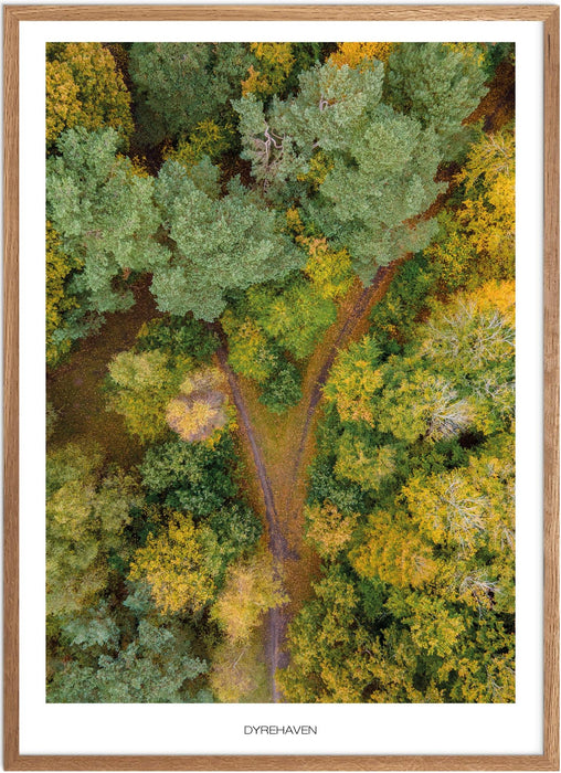 Dyrehaven (Esbjerg) No. 1 Plakat