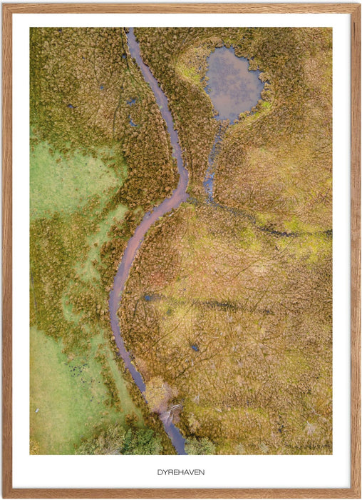 Dyrehaven (Esbjerg) No. 2 Plakat