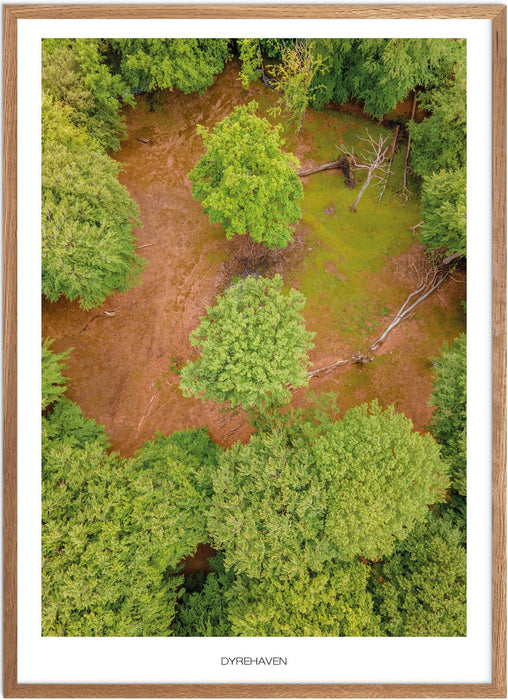 Dyrehaven (Vejle) Plakat