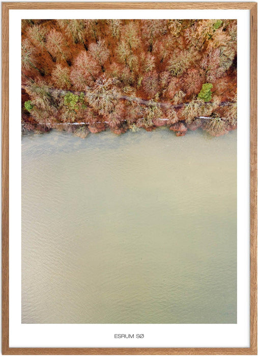 Esrum Sø Plakat - Plakatsnedkeren