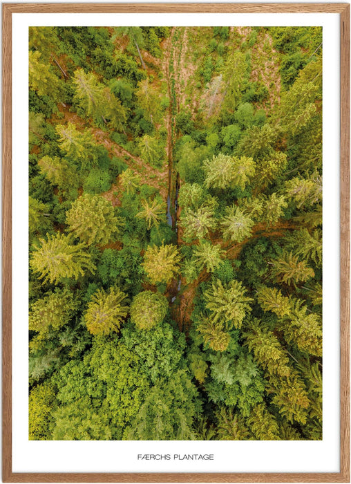 Færchs Plantage Plakat