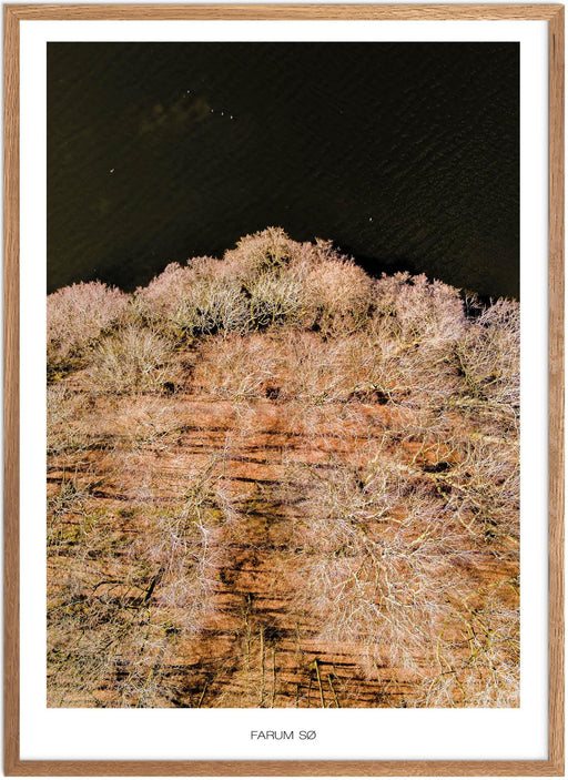 Farum Sø Plakat - Plakatsnedkeren