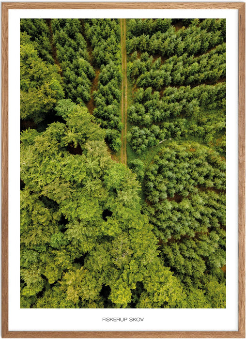 Fiskerup Skov Plakat