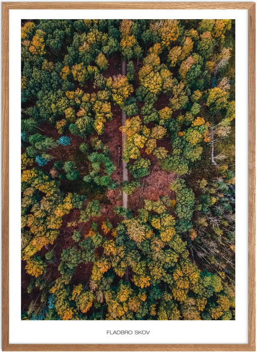 Fladbro Skov Plakat - Plakatsnedkeren