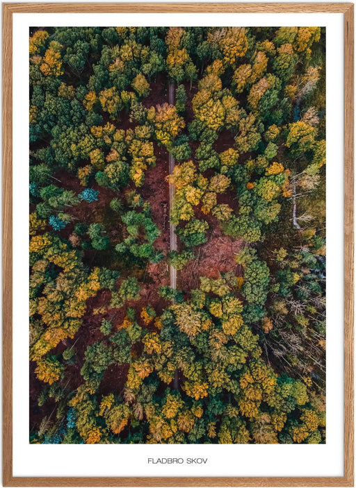 Fladbro Skov Plakat - Plakatsnedkeren