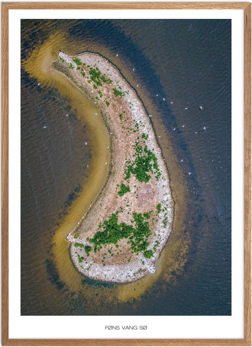 Føns Vang Sø Plakat