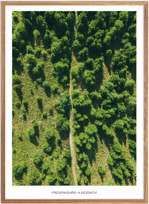 Frederikshåb Hundeskov Plakat