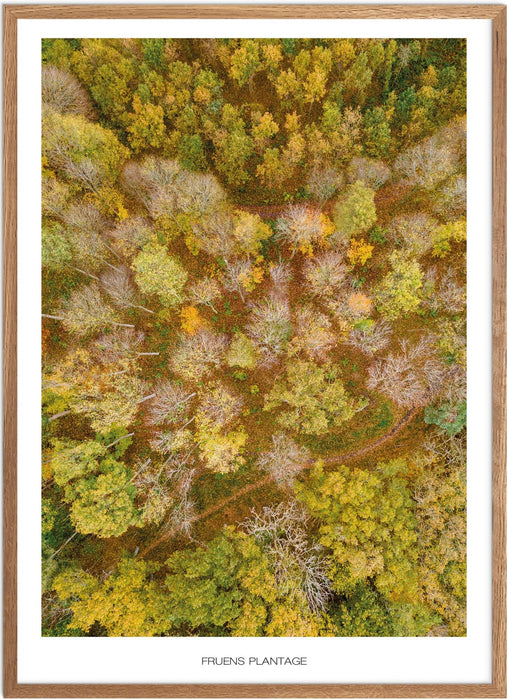 Fruens Plantage Plakat