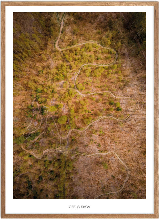 Geels Skov No. 2 Plakat