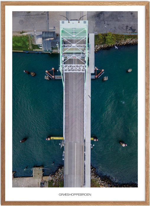 Græshoppebroen Plakat