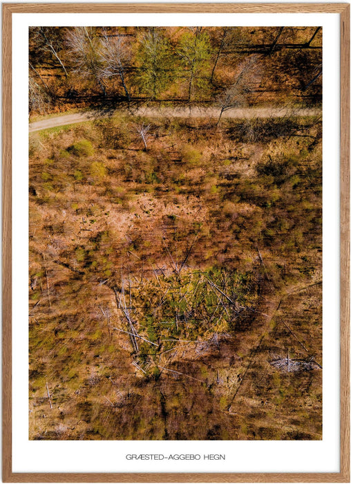 Græsted-Aggebo Hegn No. 1 Plakat