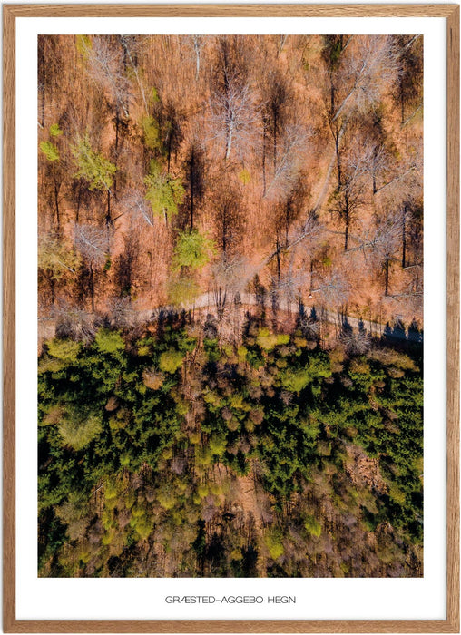 Græsted-Aggebo Hegn No. 2 Plakat