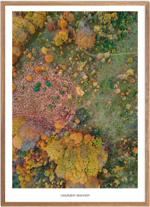 Hammer Bakker No. 1 Plakat