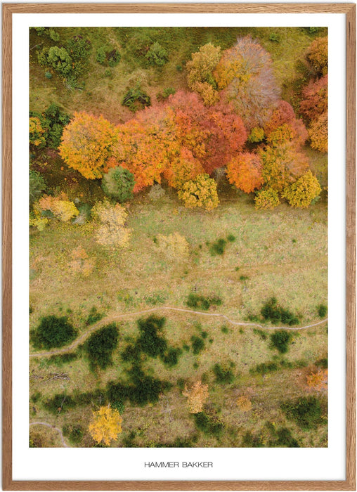 Hammer Bakker No. 2 Plakat