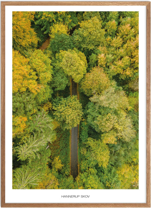 Hannerup Skov No. 1 Plakat