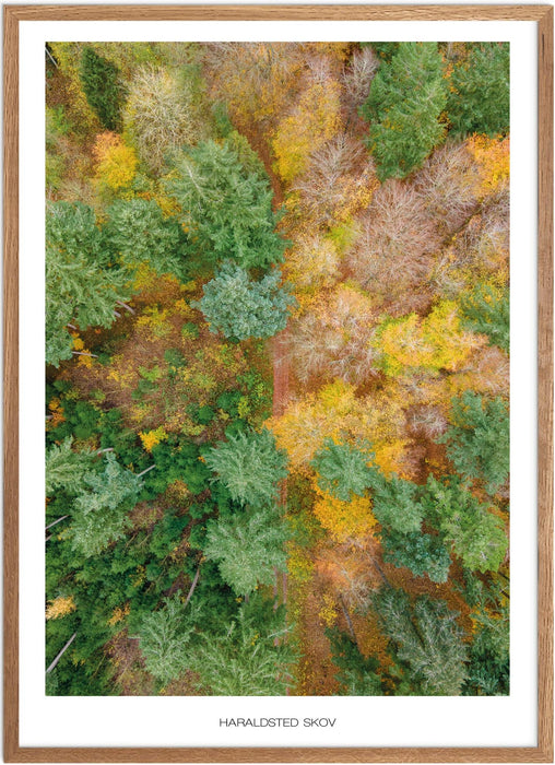 Haraldsted Skov Plakat