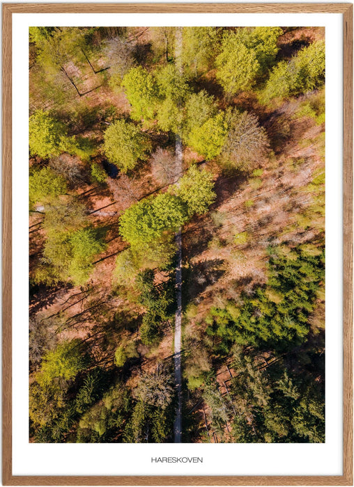 Hareskoven Plakat