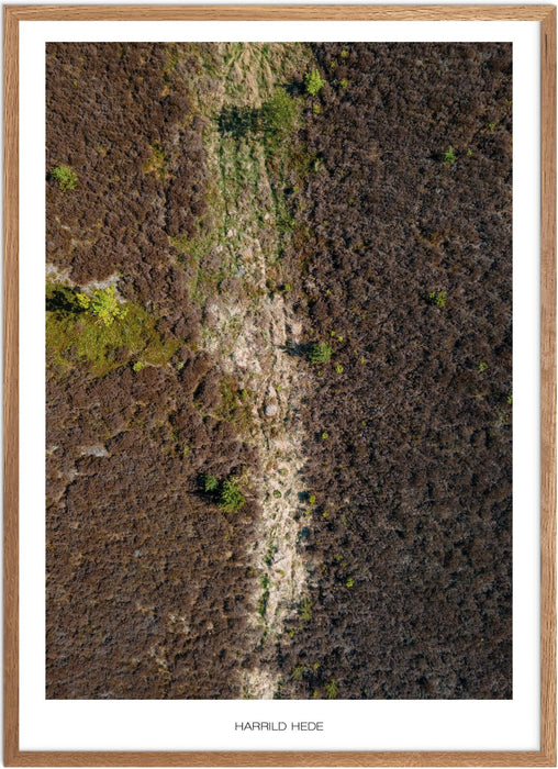 Harrild Hede No. 1 Plakat