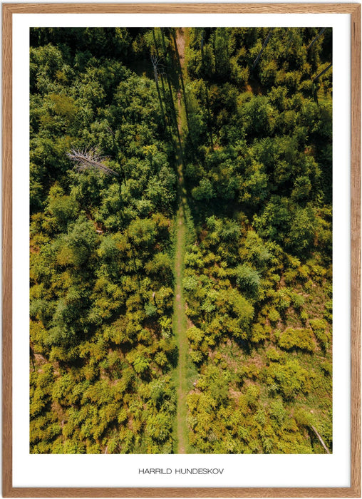 Harrild Hundeskov Plakat