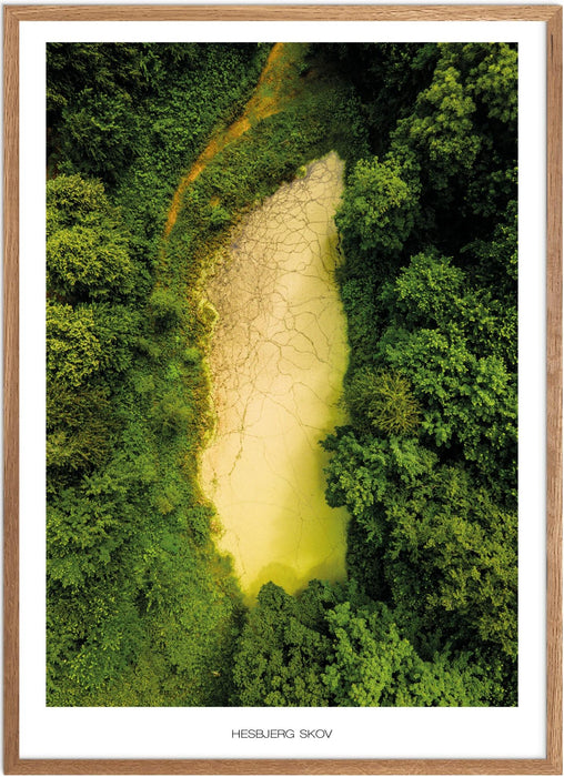 Hesbjerg Skov Plakat