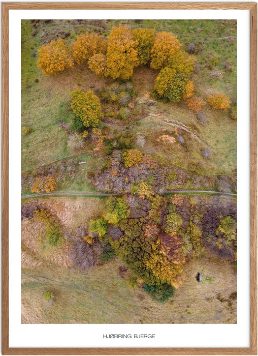 Hjørring Bjerge Plakat