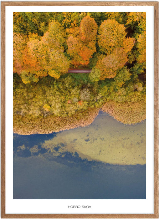 Hobro Skov No. 1 Plakat