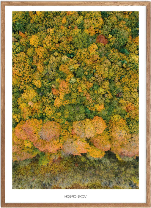 Hobro Skov No. 2 Plakat