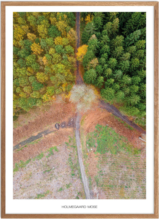 Holmegaard Mose Plakat