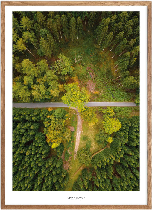 Hov Skov Plakat